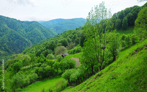 Obraz na plátně Green inclined hillside above Repedea Valley