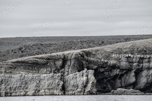 Artic landscape