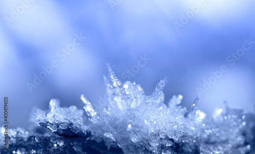 Ice crystals on tree branch. Hoarfrost crystals on dadrk blue blurred background.   © Elena