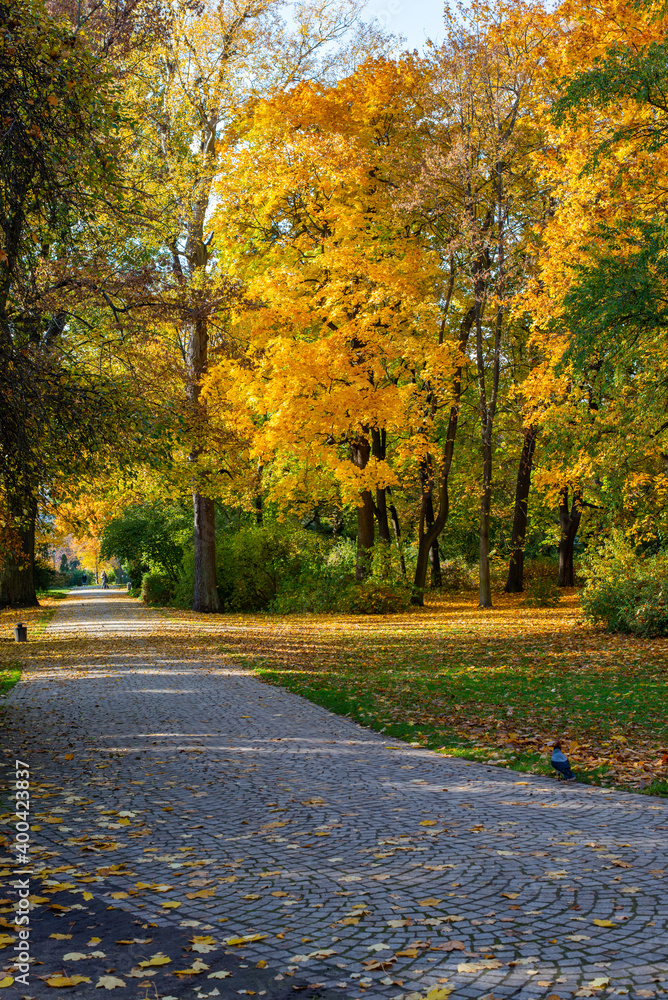 Naklejka premium royal bathroom park