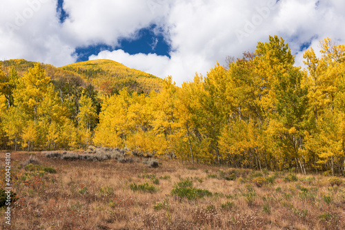 Autumn Landscape in the Mountains near Aspen Colorado.