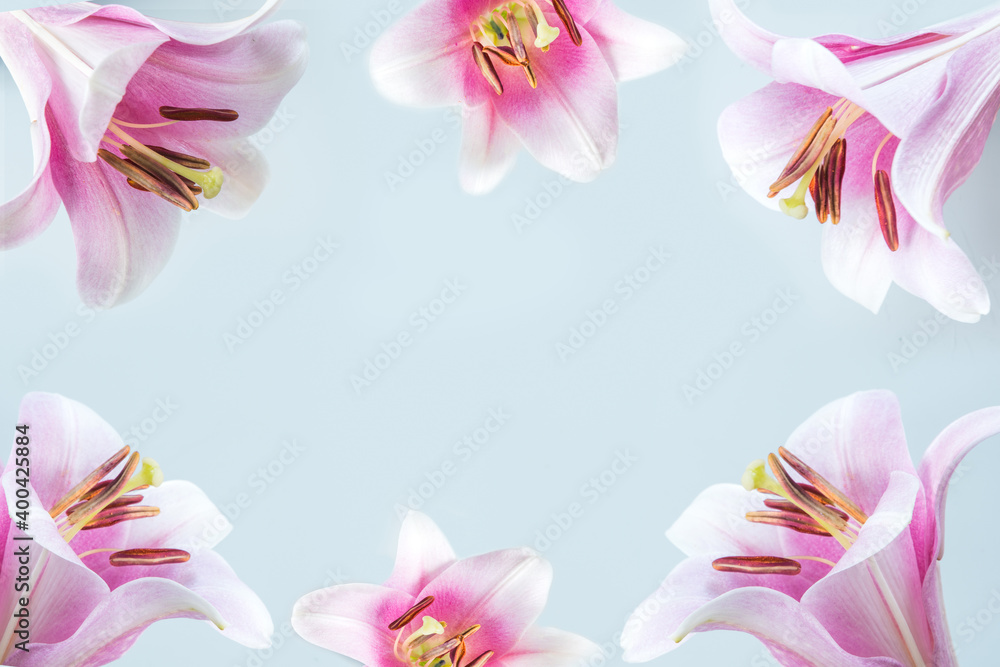 Border of pink lily flowers on light blue background. Space for text. Border of pink lily flowers on light blue background. Space for text.