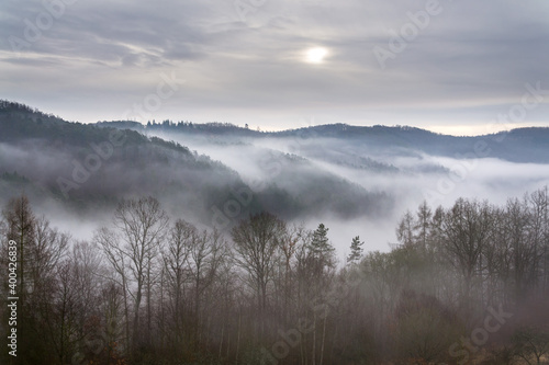 Valley with forest hiding in fog, autumn or winter foggy morning © josefkubes