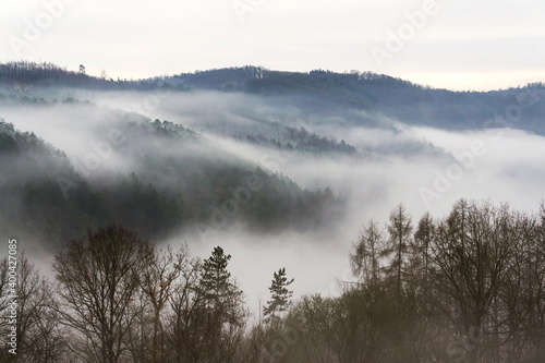 Valley with forest hiding in fog, autumn or winter foggy morning © josefkubes