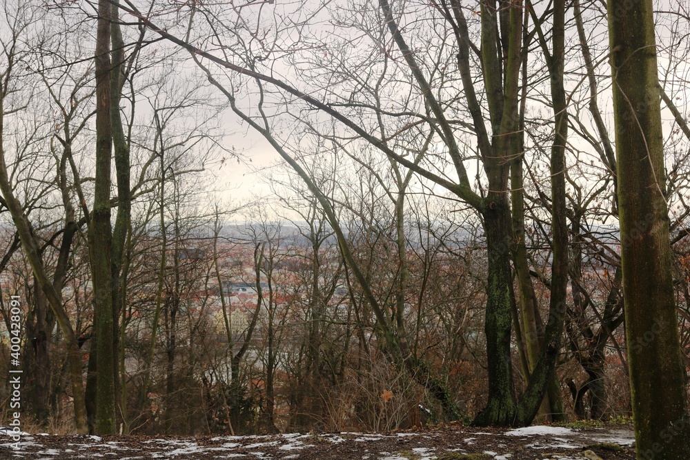 Obraz premium winterliches Prag