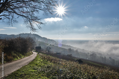 Nebellandschaften an der Bergstraße.