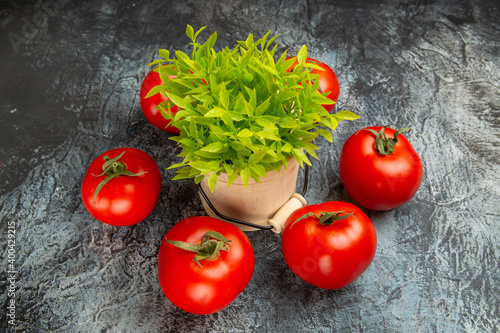 front view fresh tomatoes with green plant on dark background health food red ripe