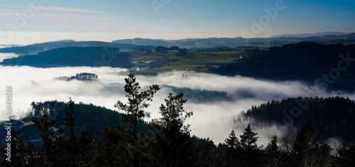 Nebel im Mühlviertel in hügeliger Landschaft, oberhalb der Nebelgrenze