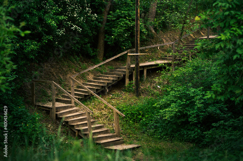Wooden staircase in a green forest. Descending the stairs in the ravine. Summer forest in the mountains