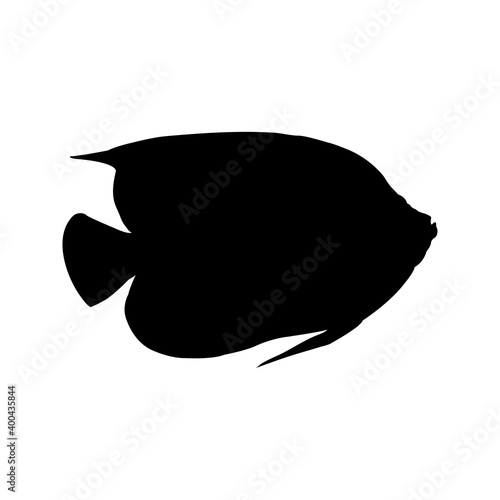 Peces tropicales. Icono silueta pez ángel en color negro