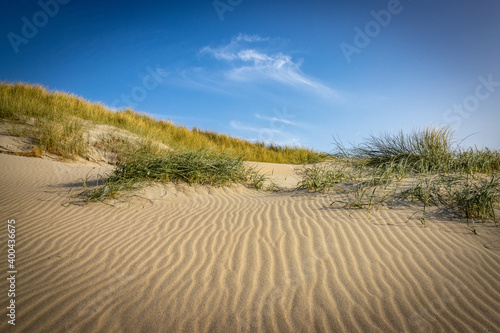 sand dunes on the beach, texel island, netherlands