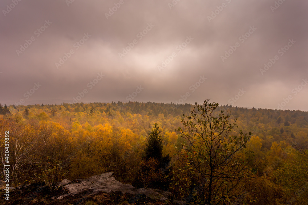 Autumn foggy landscape. Autumn foggy morning in the deciduous forest. The low sun shines through the trees and fog and paints in the leaves and tall grass. Mountain landscape around the hill Decinsky 