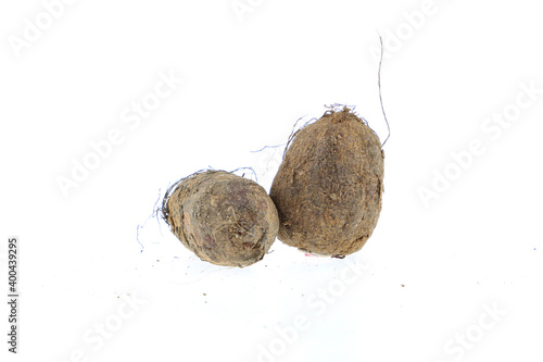 Young chinese potato or Koorka isolated on white background. Harvest new photo