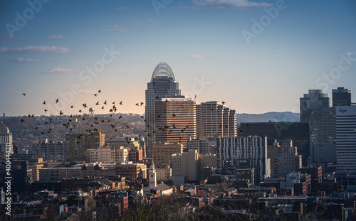 Cincinnati  Ohio  USA skyline aerial view