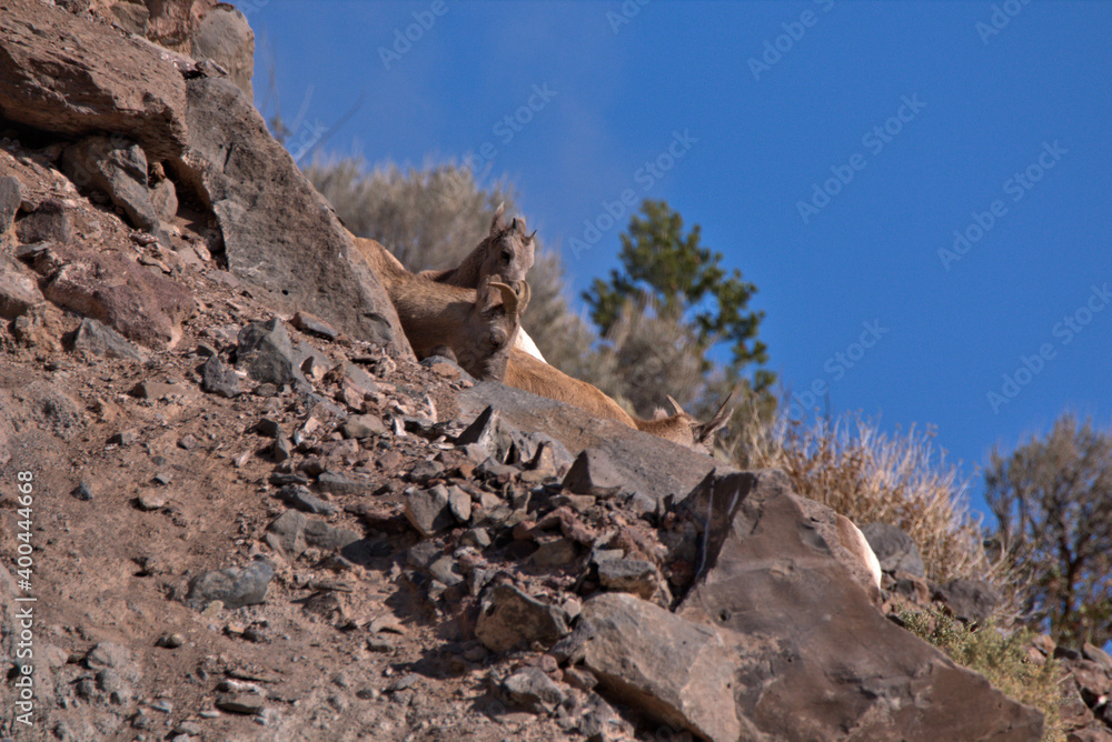 San Juan Mountains in southern Colorado