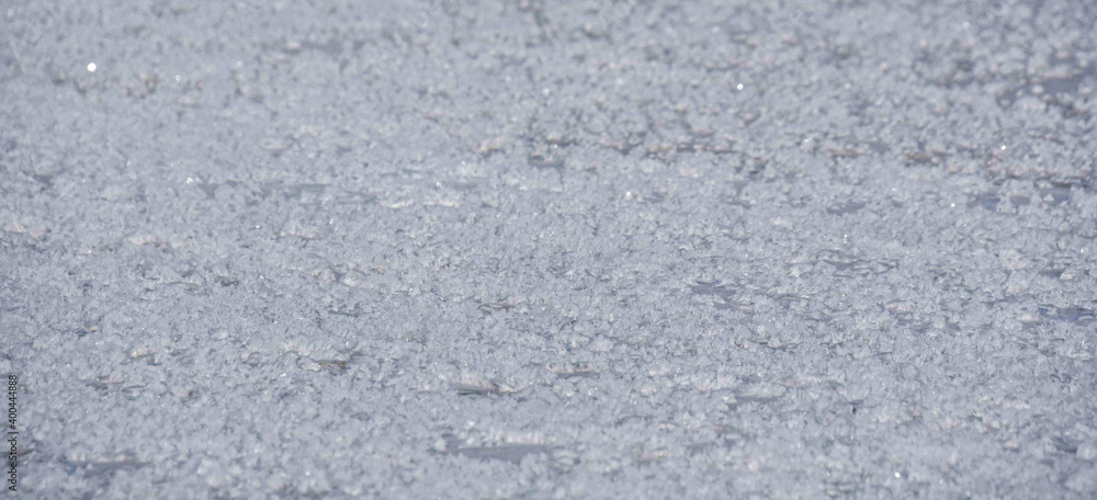 Fototapeta premium Snow crystals on the ice of a frozen river