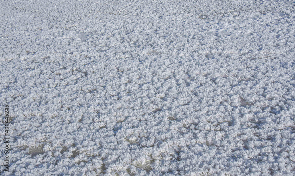 Snow crystals on the ice of a frozen river Snow crystals on the ice of a frozen river