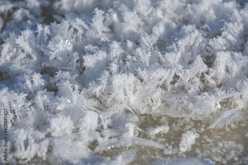 Snow crystals on the ice of a frozen river © Gilles Rivest
