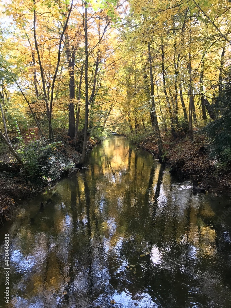 river in autumn in the forest