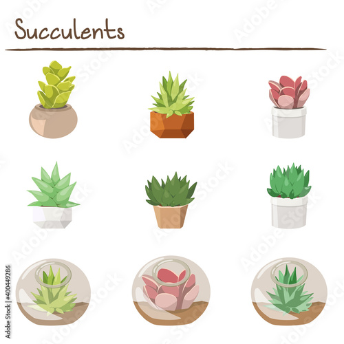 Set of Different Colorful Succulents in Pots and Glass Terrariums