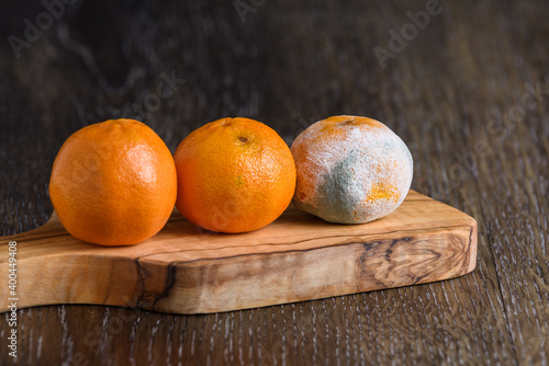 Three mandarin oranges on a wooden cutting board, one fresh, one going bad, and one very moldy 