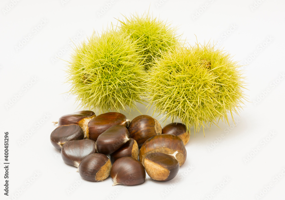 Closeup natural unripe chestnuts (turkish: kestane) isolated on white background. Closeup natural unripe chestnuts (turkish: kestane) isolated on white background.