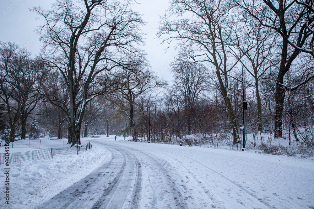 Obraz premium Snow covered roads and trees are seen in Central Park