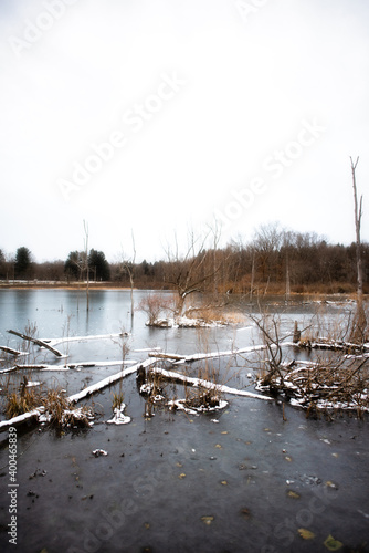 Beaver Marsh in the Cuyahoga Valley National Park in winter photo