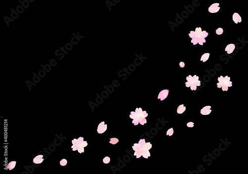 夜桜の和風イラスト素材