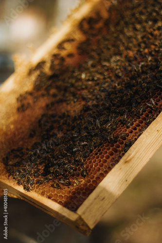close up of honey