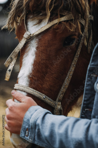 horse and rider