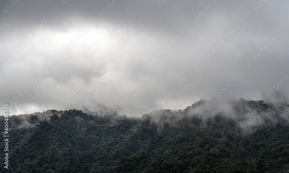 Dramatic aerial landscape of the cloud forest in mist and fog, Mindo, Ecuador.