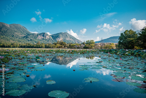 Landscape of Lotus Flowers Lake and Mountain Scenery with blue sky at Con Dao island, Viet Nam. Natural Countryside Background. © Nhan