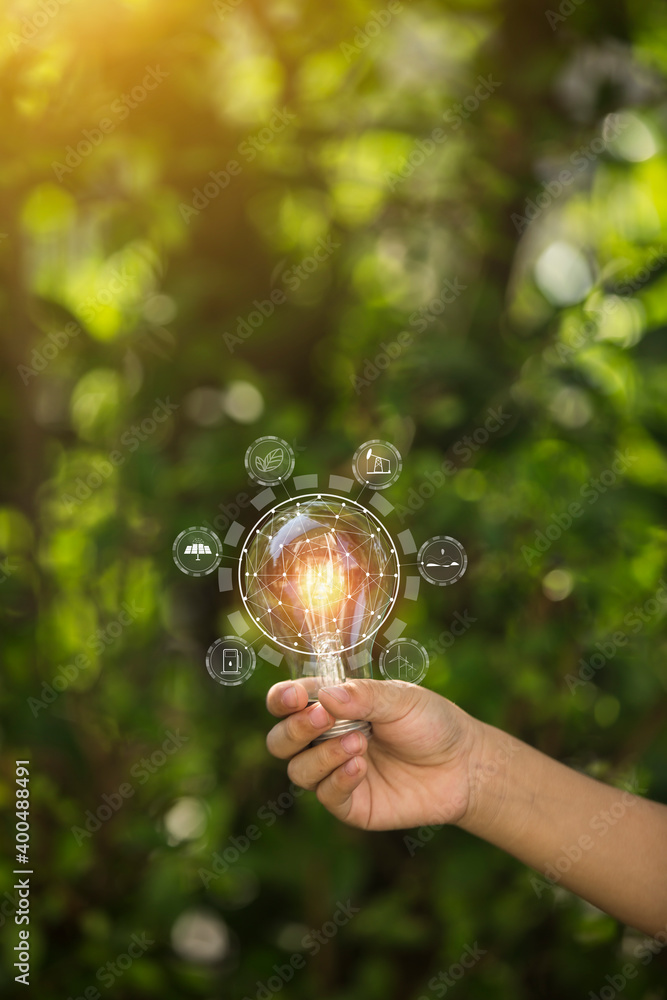 Light bulbs that grow, in the concept of energy in nature. Light bulbs that grow, in the concept of energy in nature.