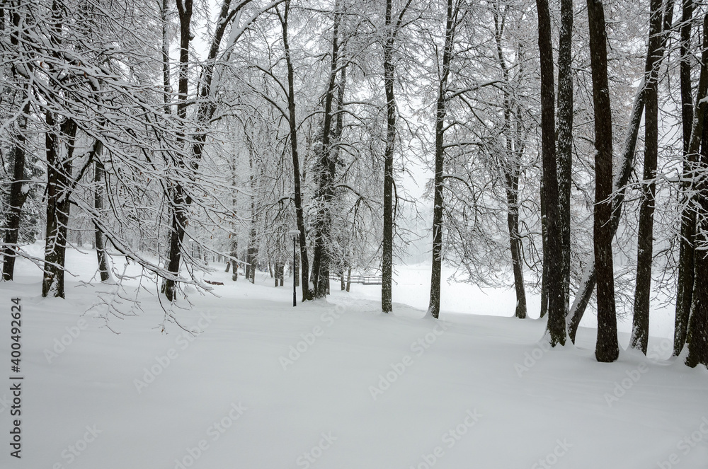 Serene winter landscape with snow covered trees in the park during heavy snowfall. Serene winter landscape with snow covered trees in the park during heavy snowfall.