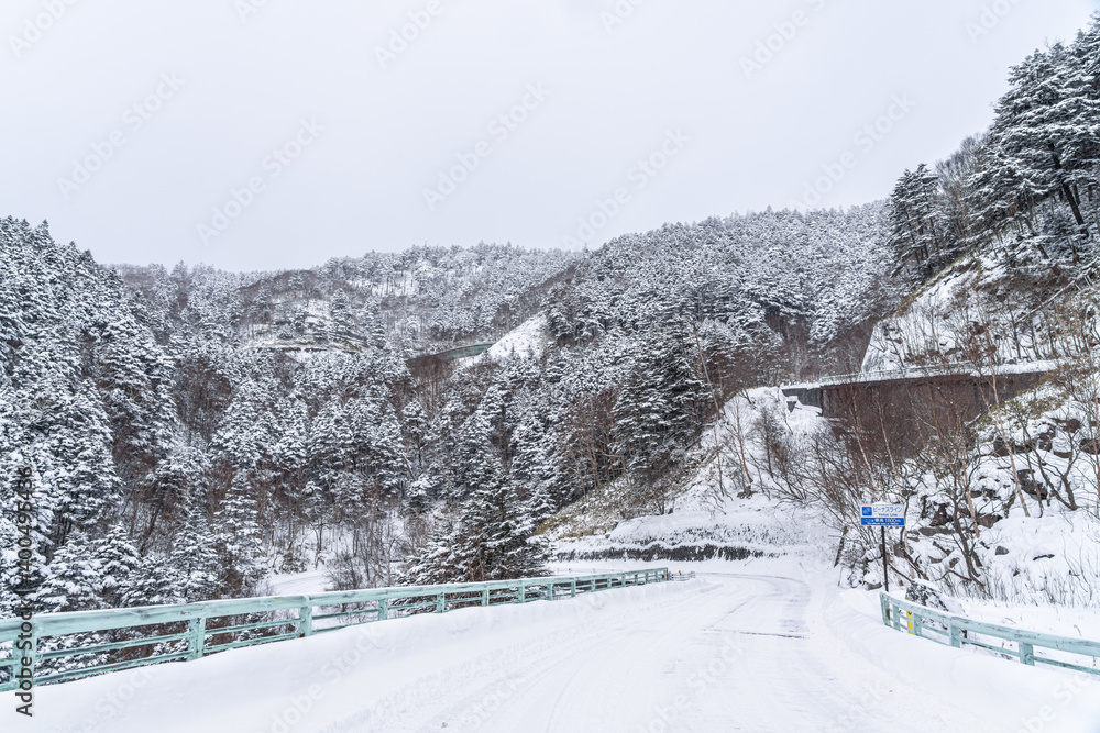【冬ドライブイメージ】圧雪路の山道 【冬ドライブイメージ】圧雪路の山道