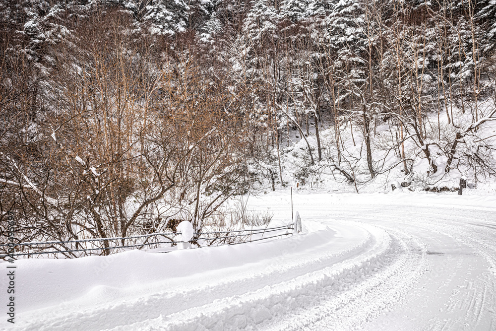 Obraz premium 【冬ドライブイメージ】圧雪路の山道