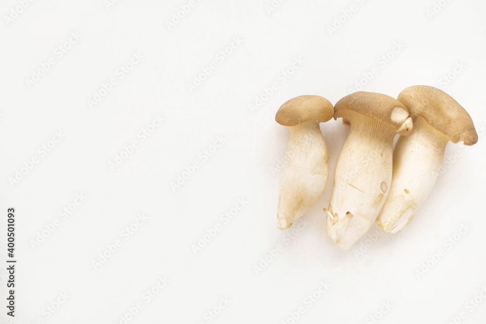Fototapeta premium King Oyster Mushroom is placed in three pieces on a white background. It has nutritional value and usefulness in medicine.
