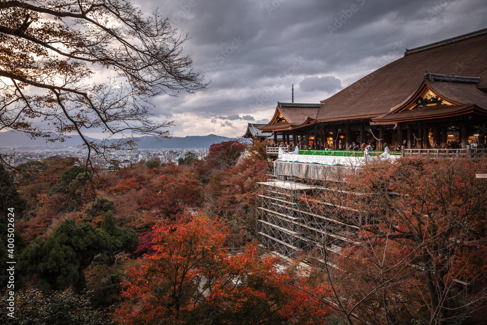 Naklejka premium 京都府 清水寺 紅葉 夕景