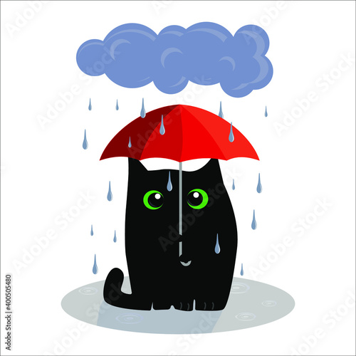 cute black cat with umbrella under rain