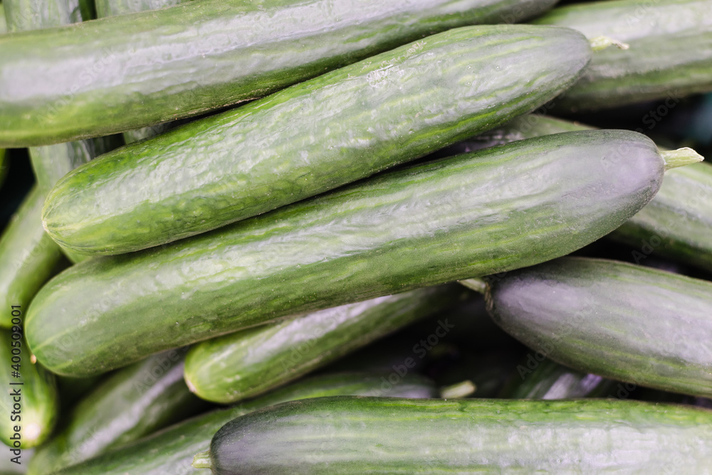 background of cucumbers, large cucumbers background of cucumbers, large cucumbers