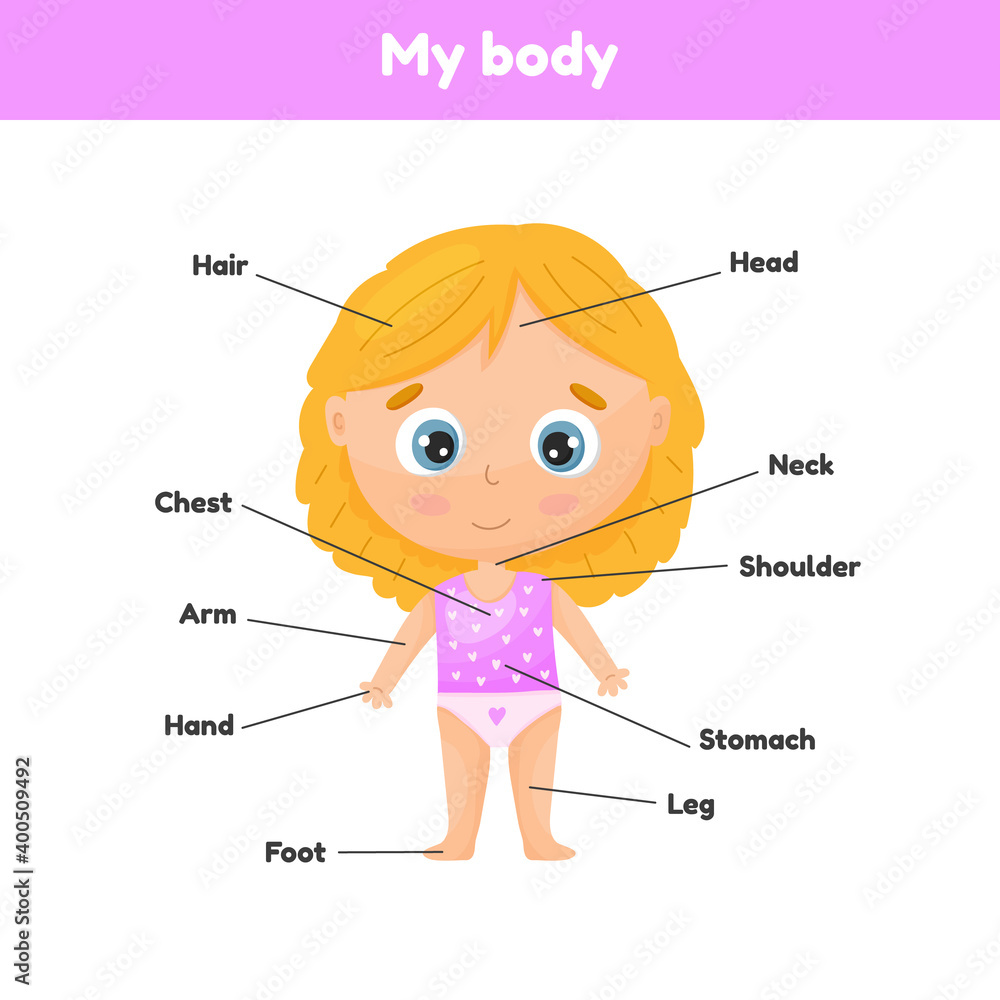 Little cute girl. Poster body parts for leaning anatomy for kids. Stock