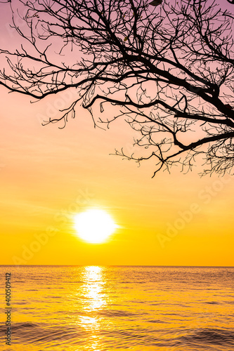 Beautiful landscape of sea ocean with silhouette coconut palm tree