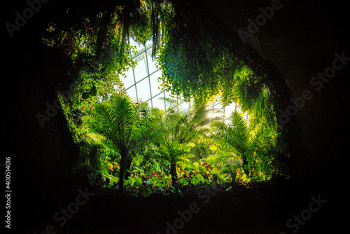  Beautiful view inside of Cloud Forest Part at Garden by the Bay, Singapore