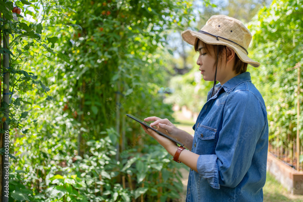 Asian farmer on a plant farm. She is using a tablet.
