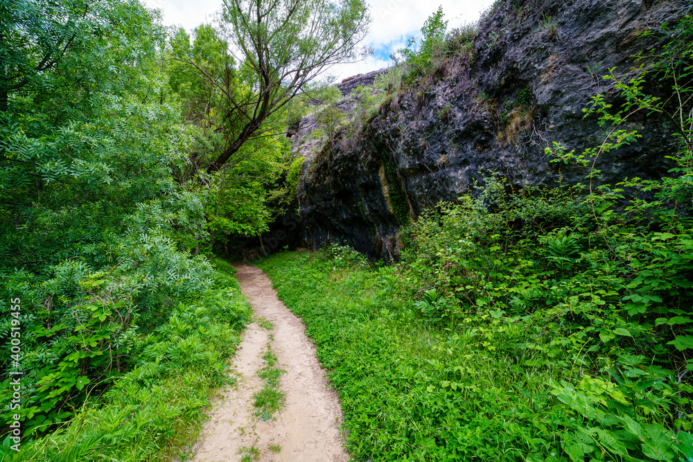 Fototapeta premium Green landscape with walking path and high rock wall. 