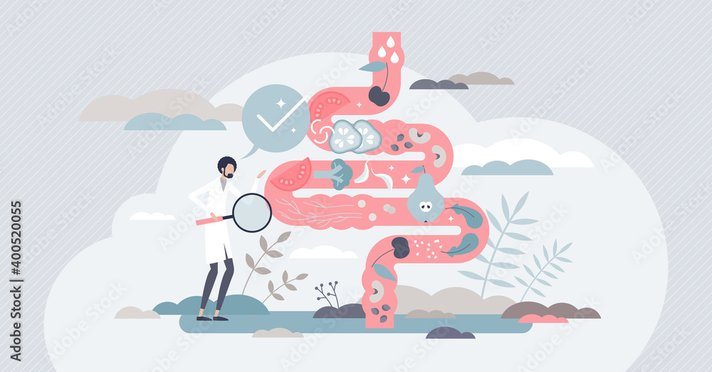 Ταπετσαρία Healthy bowel examination as gastrological organ checkup tiny person concept