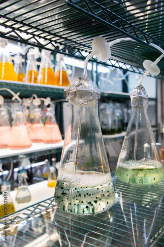 Conical flask in the laboratory on a shelf with a colored liquid and spheres to analyze