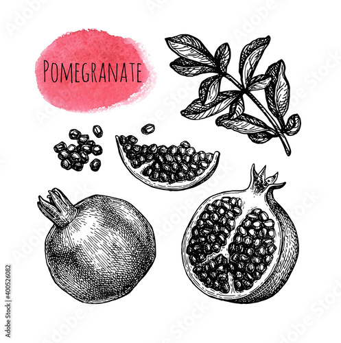 Pomegranate ink sketch collection.