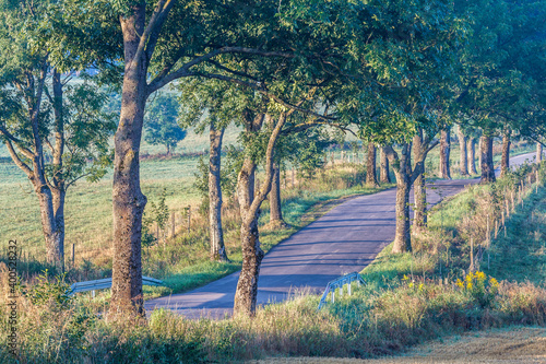 Fototapeta Naklejka Na Ścianę i Meble -  View of the Masurian road.